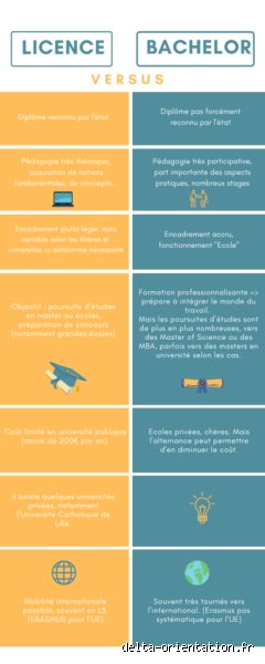 Est-il mieux de faire une licence ou un bachelor ?