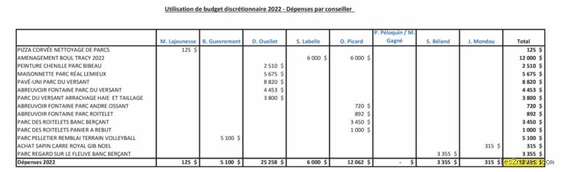Qu'est-ce qu'un exemple de dépense discrétionnaire ? Comprendre l'art subtil de l'arbitrage financier au quotidien