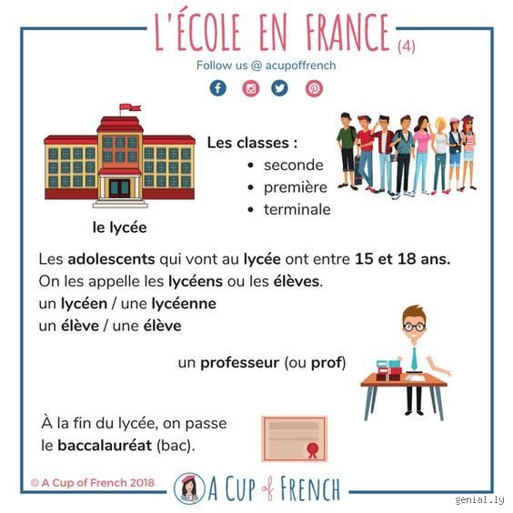 Quel est le but de l'école en France ?