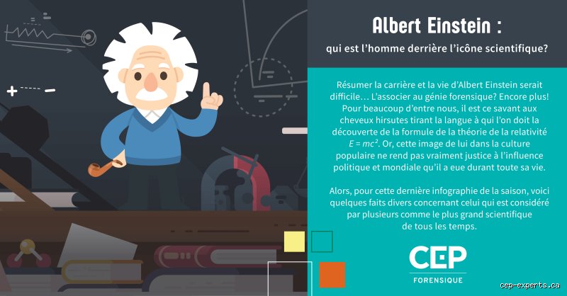 Quel est le niveau d'étude d'Albert Einstein ?