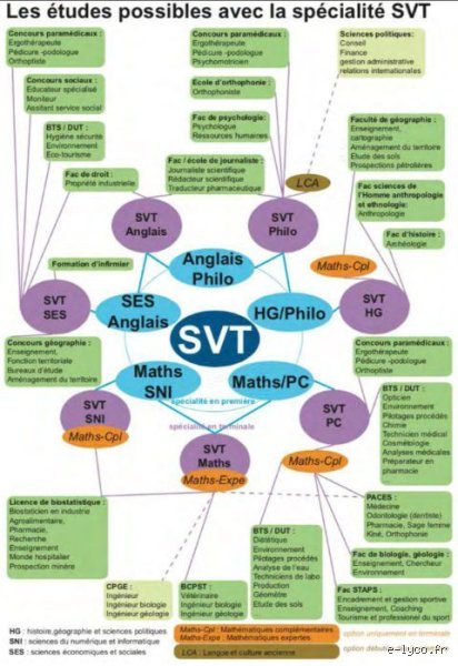 Quel métier avec spé Hggsp et SVT ? Les débouchés d'un profil hybride