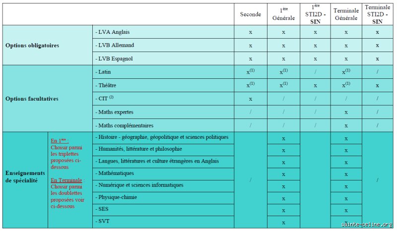 Quelle est l'option la plus difficile au lycée ?