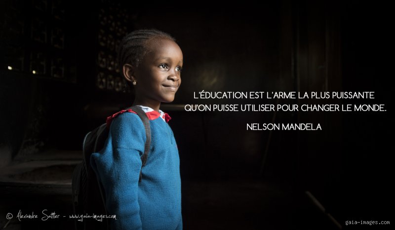 Quelle est une citation célèbre sur la pédagogie ? Derrière les mots de Plutarque, la réalité d'un métier en pleine mutation