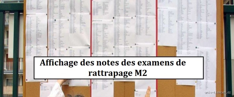 Quelle note pour le rattrapage fac ? Le vrai barème qui compte et comment il impacte votre parcours