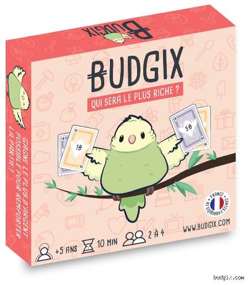 Quels sont les avantages et les inconvénients de l'argent de poche : le guide ultime pour ne pas se rater