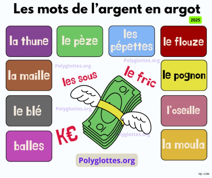 Quels sont les mots liés à l'argent : le lexique complet pour ne plus jamais bafouiller devant son banquier
