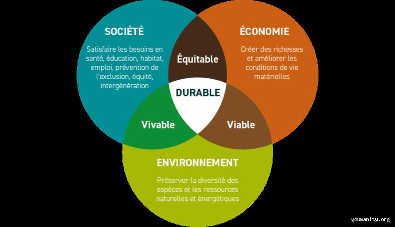 Quels sont les trois piliers de l'équité ? Comprendre enfin la nuance entre égalité de traitement et justice sociale réelle