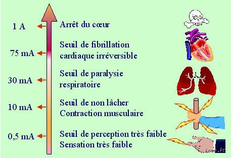 Quels sont les effets de l'électricité sur le corps humain, dans l'ordre ? Comprendre les seuils de réaction biologique