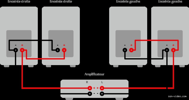 Comment brancher des enceintes amplifiées ? Un guide pratique pour bien commencer