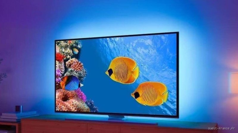Est-il plus économique d'acheter un nouveau téléviseur ou de remplacer le rétroéclairage ? Le grand comparatif financier et technique