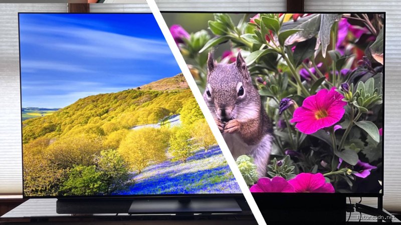 Quel écran OLED est le meilleur, Sony ou LG ? Le duel sans concession pour votre salon