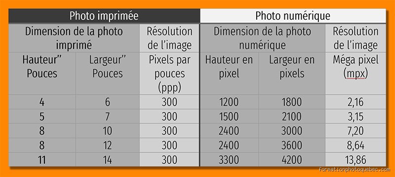 Quelle est la meilleure résolution pour un appareil photo : pourquoi la course aux mégapixels cache un piège pour vos images