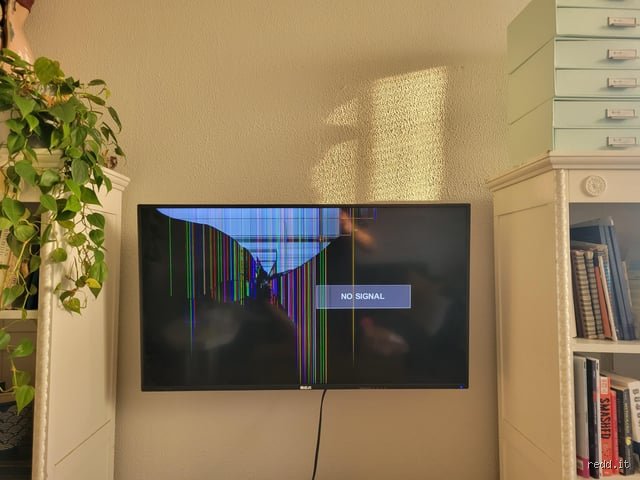 Une télé est-elle réparable ou devez-vous courir au magasin dès la première panne ?
