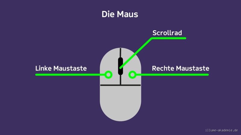 Was bedeutet meine Maus?