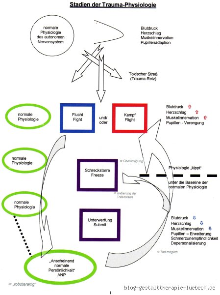 Wie viele Sitzungen bei Traumatherapie?