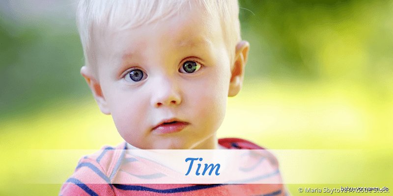Ist der Name Tim ein Nomen?