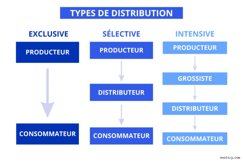 Les différents types de contrat de distribution : comment sécuriser votre stratégie commerciale sans y laisser votre chemise ?
