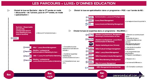 Quel métier dans le luxe choisir pour construire une carrière solide et réellement rentable ?