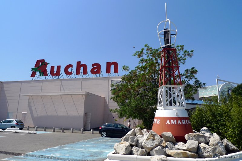 Quelle est le but de Auchan dans un paysage de la grande distribution en pleine mutation numérique ?