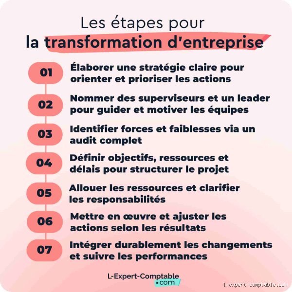Le Grand Saut : Quelles sont les conséquences réelles de la transformation d'une entreprise individuelle en société ?