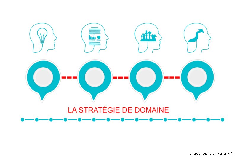 Quels sont les 3 grands types de stratégie de domaine pour terrasser la concurrence sur un marché saturé ?