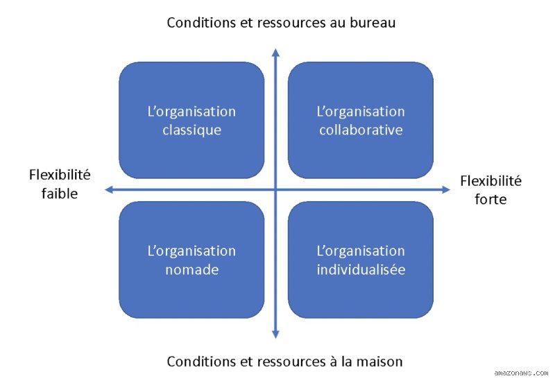 Quels sont les 4 types de stratégie organisationnelle pour piloter une croissance pérenne en 2024 ?