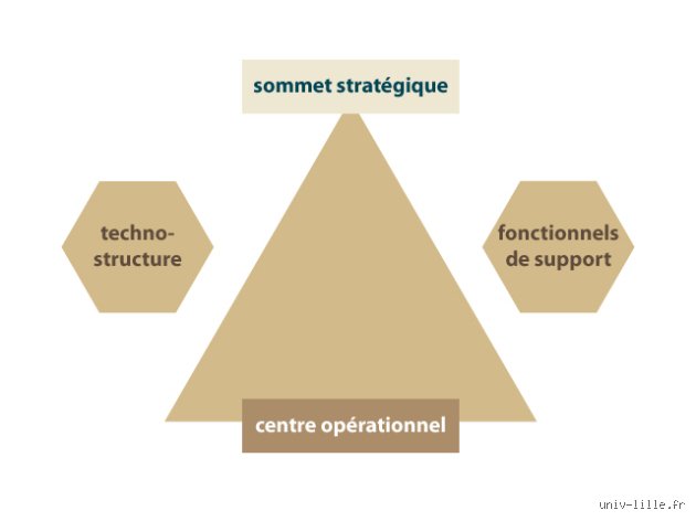 Quels sont les cinq éléments de base d'une organisation : une analyse structurelle pour comprendre l'anatomie du pouvoir en entreprise