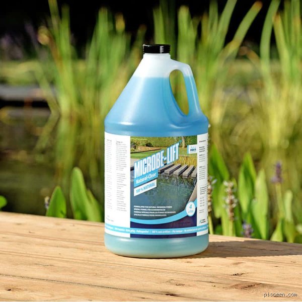 Comment éliminer les bactéries de votre piscine et garantir une eau cristalline sans transformer votre bassin en laboratoire chimique ?