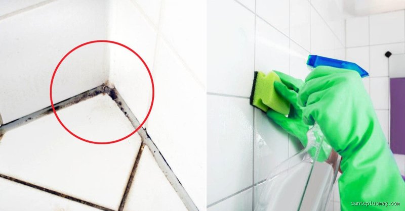 Comment enlever le calcaire tenace sur les joints de carrelage : l'approche pragmatique