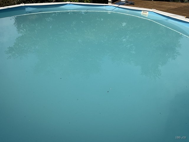Comment puis-je savoir si l'eau de ma piscine est morte ? Voici les signes d'alerte définitifs et les solutions concrètes
