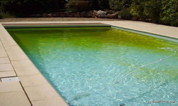 J’ai mis trop d’anti algue dans ma piscine ? Pas de panique, voici comment rattraper le coup sans vider votre bassin
