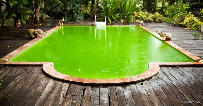 L'eau d'une piscine peut-elle passer de verte à claire du jour au lendemain ? Le verdict des experts et la réalité chimique