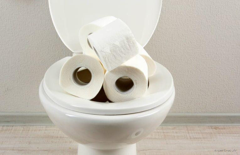 Pourquoi le papier ne part pas dans les toilettes ? Une galère qu'on connaît tous
