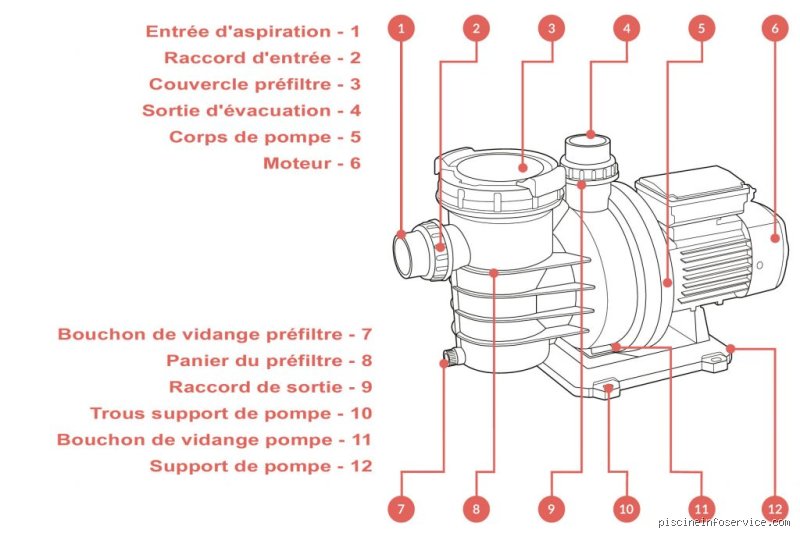Pourquoi ma pompe de piscine se vide-t-elle ? Les causes réelles et les solutions pour retrouver la pression