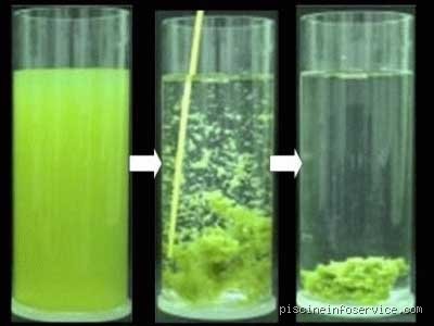 Que faire après avoir mis du floculant dans ma piscine pour retrouver une eau cristalline sans effort ?