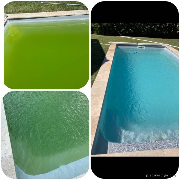 Quelle est la solution miracle pour l'eau verte de ma piscine et comment retrouver un bassin cristallin en moins de 48 heures ?