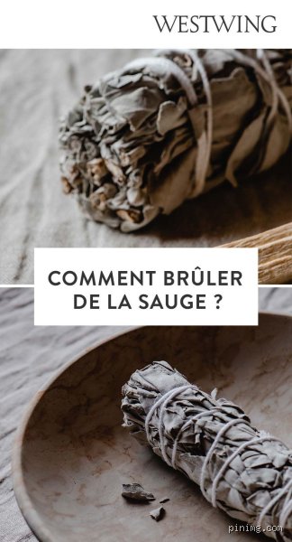 Comment faire brûler de la sauge fraîche ?