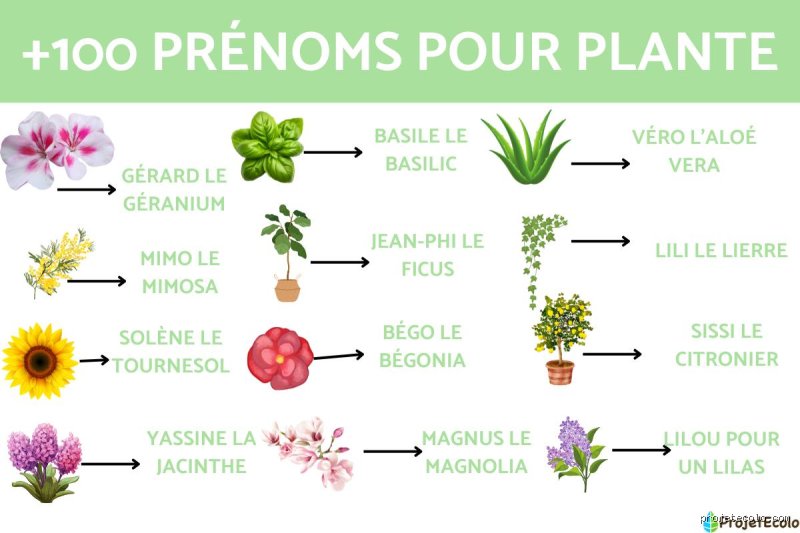 Quel est un joli nom de plante féminin pour baptiser votre intérieur ou s'inspirer en botanique ?