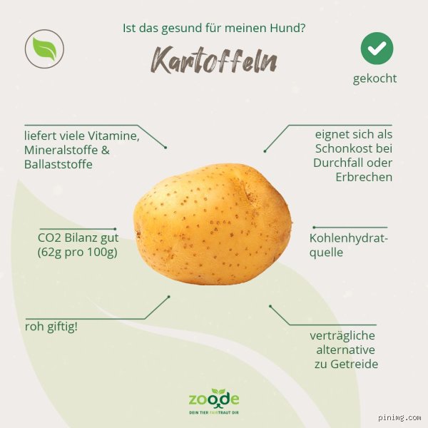 Wie viel sind 100 g gekochte Kartoffeln?