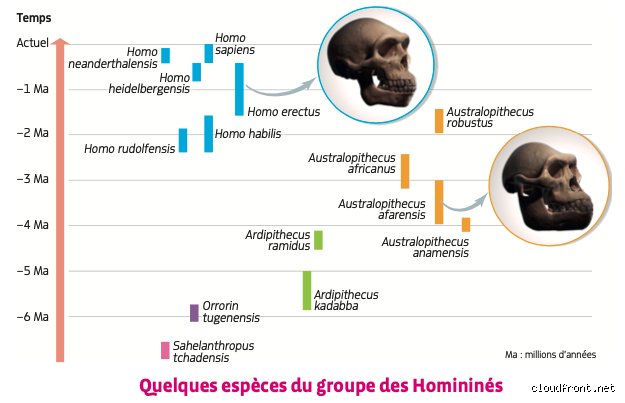 Comment l'être humain est né : les origines fascinantes de notre espèce