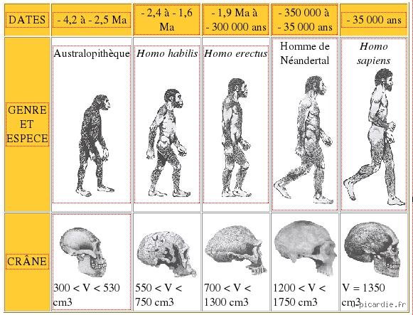 Quelle était la première race humaine sur Terre ? Aux sources de nos origines paléolithiques communes