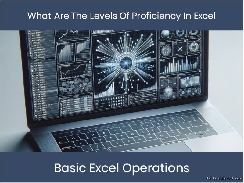 Quels sont les niveaux d'Excel ?