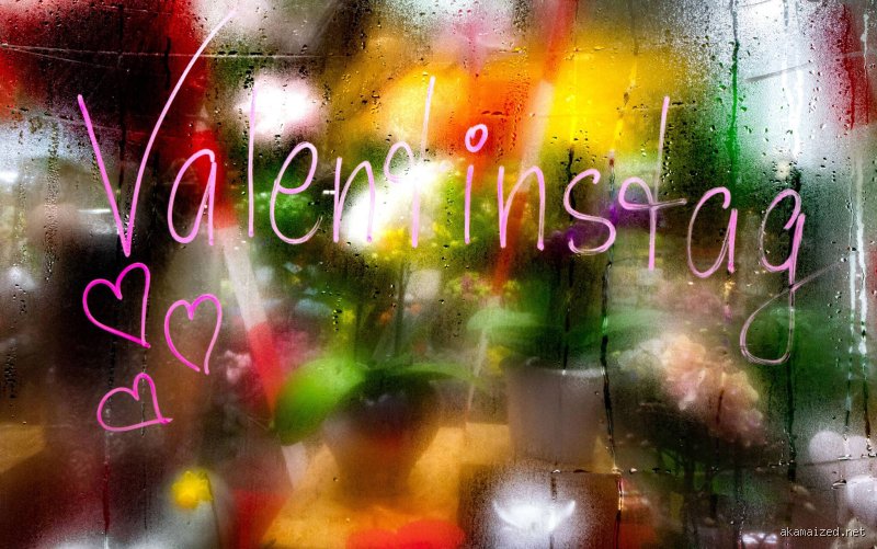 Wann ist Tag der Liebe?