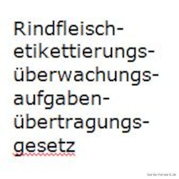 Was ist das längste Gesetz der Welt und warum sprengt es jede bürokratische Dimension?