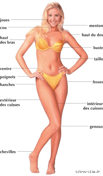 Quelle partie du corps maigrit en premier chez la femme ?