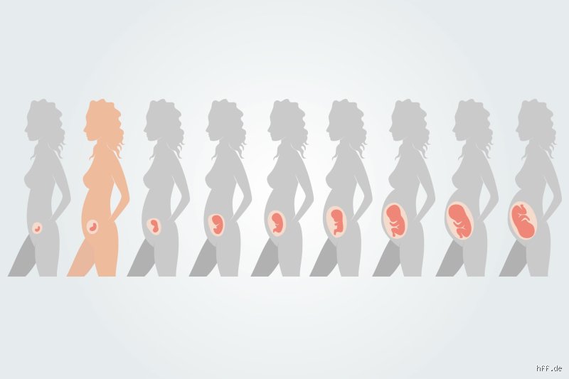 Sind 10 Liegestütze möglich?
