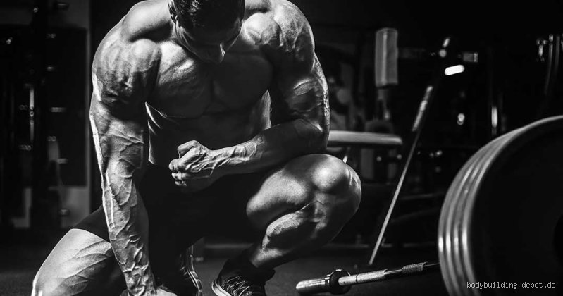 Was sind die 7 Grundübungen im Krafttraining? Dein Weg zu echter Stärke und einem fitten Körper