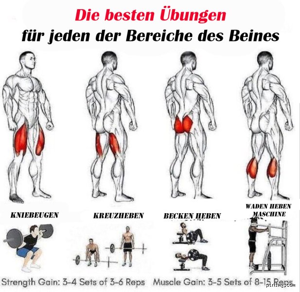 Wie lange Beine trainieren bis man was sieht?