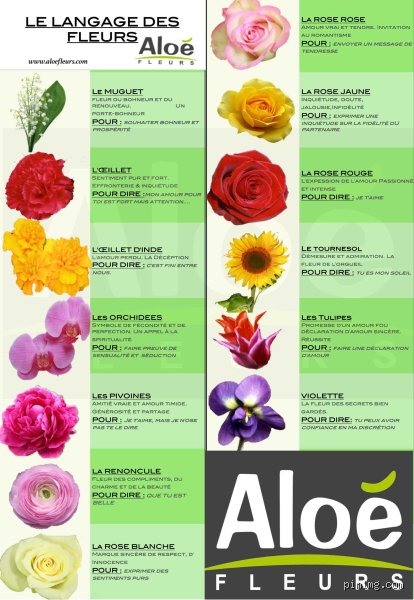 Quelle fleur symbolise l'enfant ?