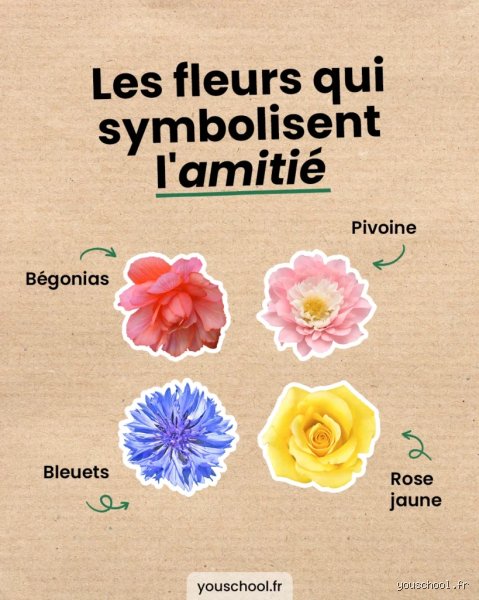Quelle fleur symbolise vraiment la liberté ? Le choix qui va vous surprendre